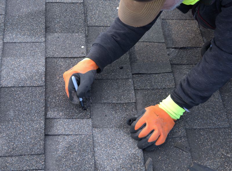 Shingle Overlay Services