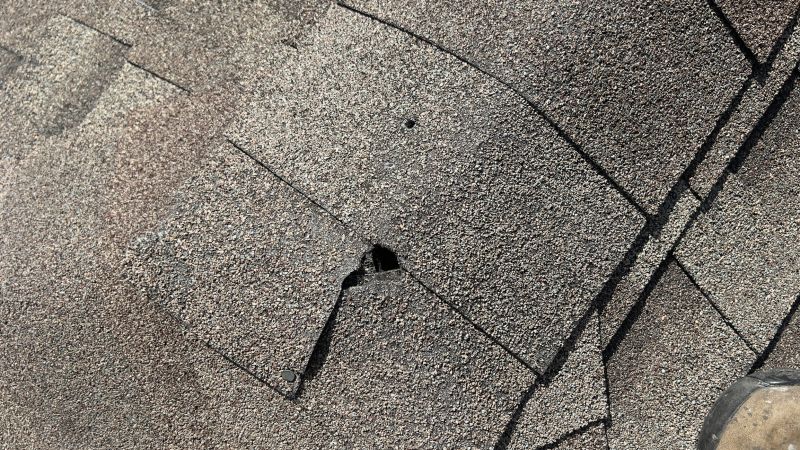 Causes Of Asphalt Shingle Damage And When Repair Is Enough
